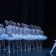 Experience Swan Lake: Lac des Cygnes Opra Bastille, Paris | Hubbastille: Explore the Fusion of Culture, Music & Creativity