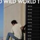 Get *Bastille Wild World Tour Poster* Art & Memories! | Hubbastille: Explore the Fusion of Culture, Music & Creativity