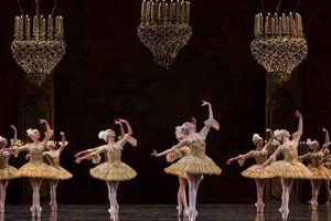 A Guide to Ballet Opera Bastille: Paris Performance Safem Fabrication - Precision Engineering & Custom Manufacturing Solutions A Guide to Ballet Opera Bastille: Paris Performance | Safem Fabrication - Precision Engineering & Custom Manufacturing Solutions