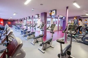 Best Gym Near Bastille: Neoness Paris 11 Fitness! Hubbastille: Explore the Fusion of Culture, Music & Creativity Best Gym Near Bastille: Neoness Paris 11 Fitness! | Hubbastille: Explore the Fusion of Culture, Music & Creativity