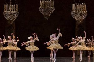 A Guide to Ballet Opera Bastille: Paris Performance Hubbastille: Explore the Fusion of Culture, Music & Creativity A Guide to Ballet Opera Bastille: Paris Performance | Hubbastille: Explore the Fusion of Culture, Music & Creativity