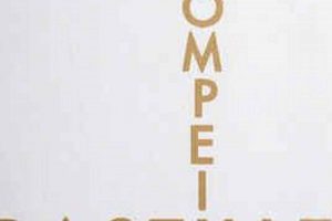 Buy Bastille Pompeii Vinyl: A Collector's Gem + Guide Hubbastille: Explore the Fusion of Culture, Music & Creativity Buy Bastille Pompeii Vinyl: A Collector's Gem + Guide | Hubbastille: Explore the Fusion of Culture, Music & Creativity