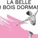 Experience La Belle au Bois Dormant | Opra Bastille Magic | Hubbastille: Explore the Fusion of Culture, Music & Creativity
