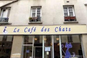 Visit: Caf des Chats Bastille | Paris Cat Cafe Hubbastille: Explore the Fusion of Culture, Music & Creativity Visit: Caf des Chats Bastille | Paris Cat Cafe | Hubbastille: Explore the Fusion of Culture, Music & Creativity