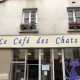 Visit: Caf des Chats Bastille | Paris Cat Cafe | Hubbastille: Explore the Fusion of Culture, Music & Creativity