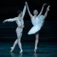 Discover Opera Bastille Ballet: A Parisian Performance | Hubbastille: Explore the Fusion of Culture, Music & Creativity