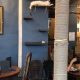 Purrfect Paris: Cafe de Chats Bastille Cat Cafe Guide | Hubbastille: Explore the Fusion of Culture, Music & Creativity