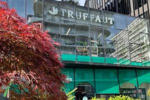 Your Local Jardinerie Truffaut Paris Bastille Garden Haven Hubbastille: Explore the Fusion of Culture, Music & Creativity Your Local Jardinerie Truffaut Paris Bastille Garden Haven | Hubbastille: Explore the Fusion of Culture, Music & Creativity