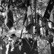 Experience Bastille Day in New Caledonia | Festivities & Culture | Hubbastille: Explore the Fusion of Culture, Music & Creativity
