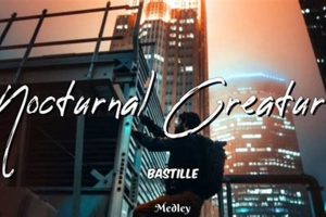 Dive Deep: Nocturnal Creatures Bastille Lyrics Explained | Hubbastille: Explore the Fusion of Culture, Music & Creativity