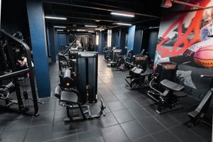 Your Bastille Fitness: Neoness Paris Bastille Guide | Hubbastille: Explore the Fusion of Culture, Music & Creativity