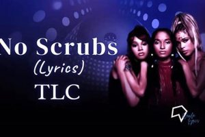 Get Bastille Scrubs Lyrics: Mashups &amp; More! | Hubbastille: Explore the Fusion of Culture, Music & Creativity