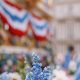 Bastille Day Flowers: French Celebration Bouquets & Gifts | Hubbastille: Explore the Fusion of Culture, Music & Creativity