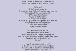 Bastille's No Scrubs Lyrics: An Indie Pop Remix | Hubbastille: Explore the Fusion of Culture, Music & Creativity